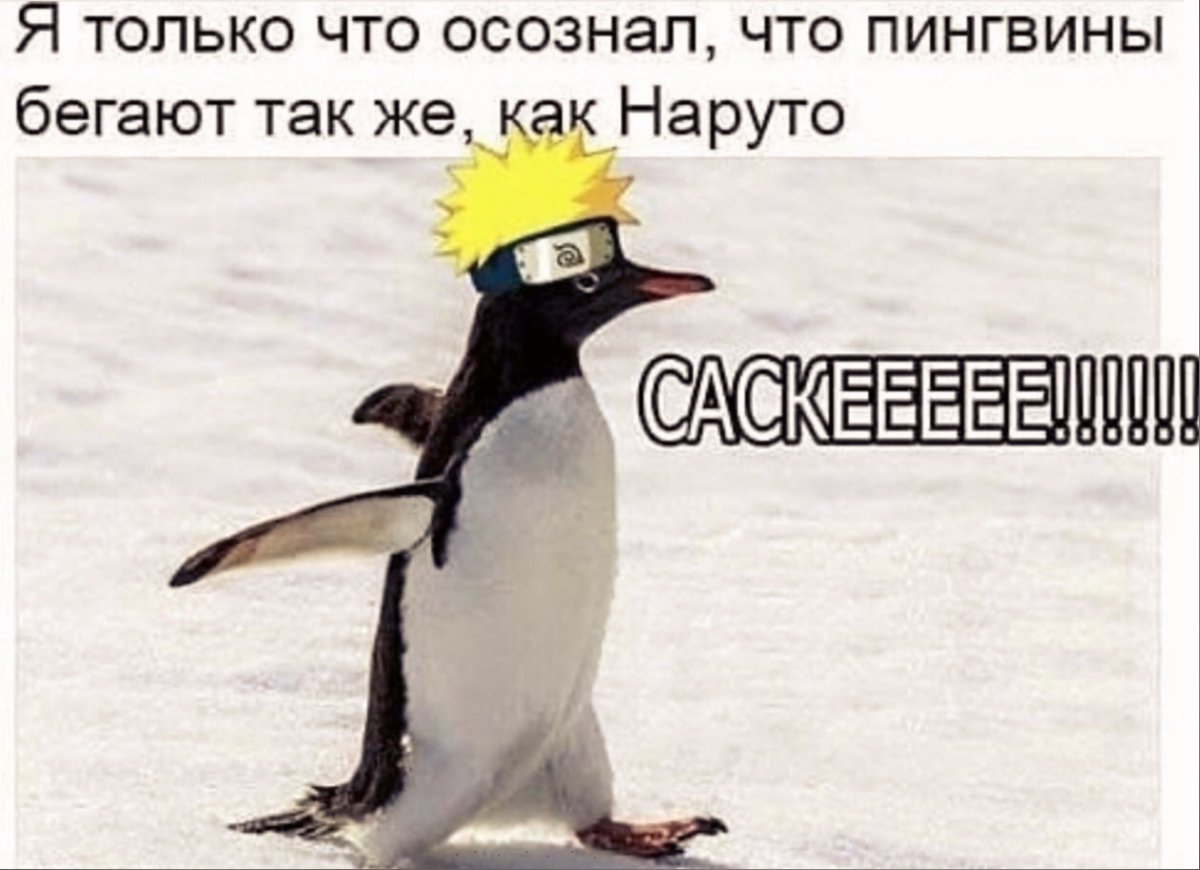 Пингвин бежит