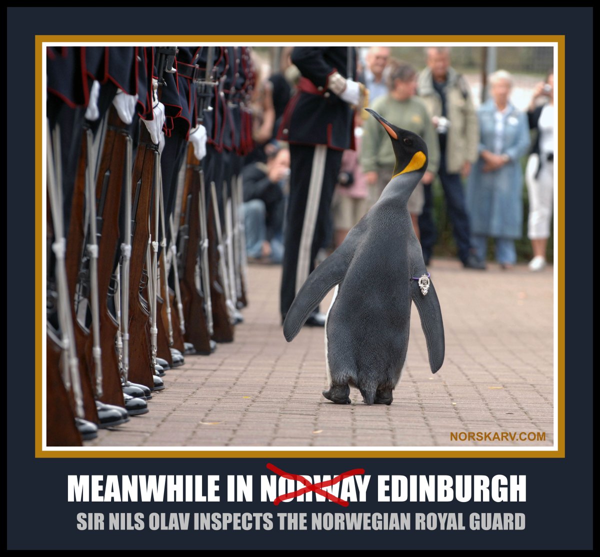 Сэр Нильс Улаф Королевский Пингвин