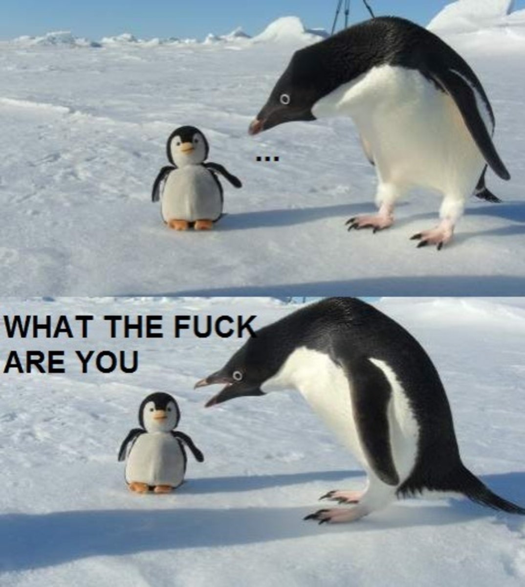 Журнал про животных с пингвином