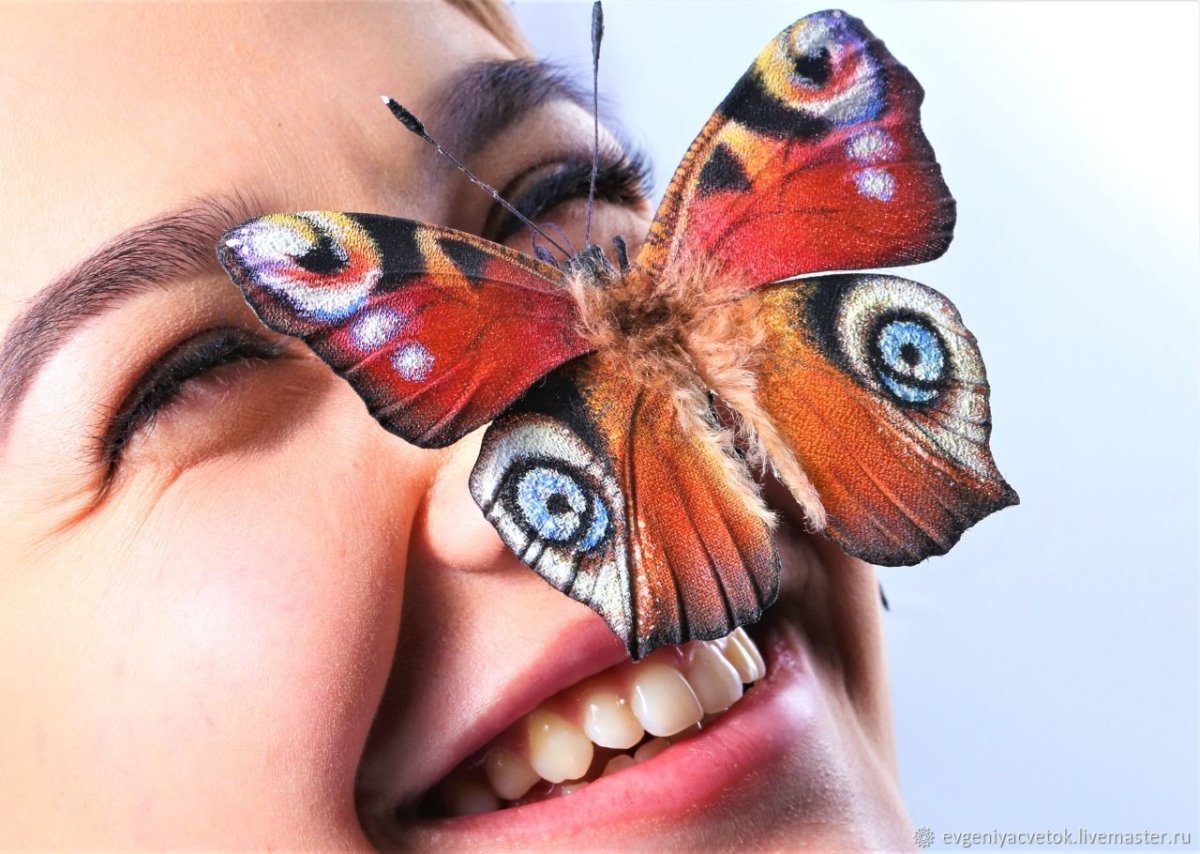 Что едят бабочки в домашних условиях зимой павлиний глаз