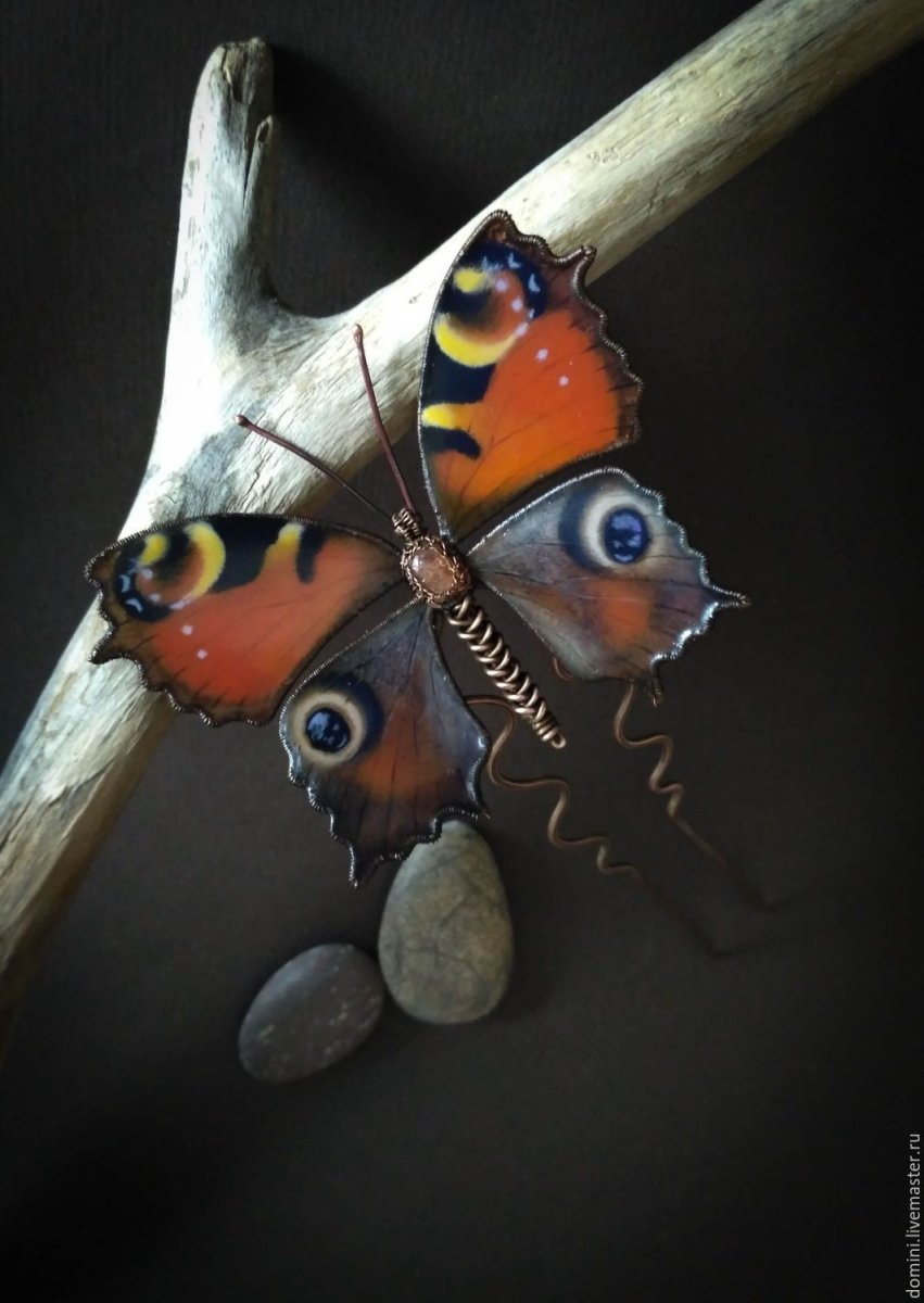 Бабочка рыжая Павлиноглазка