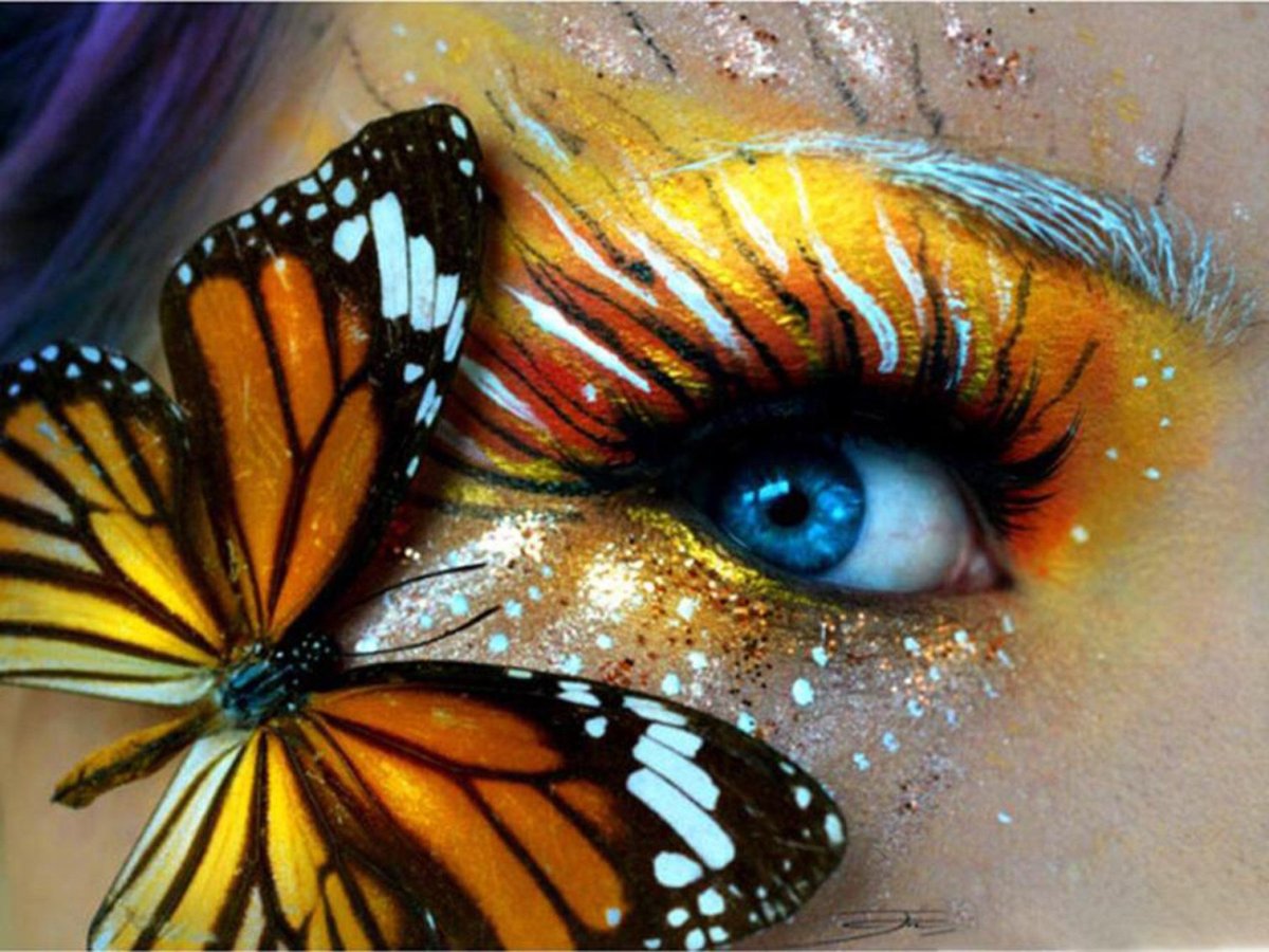 Макияж Крылья бабочки