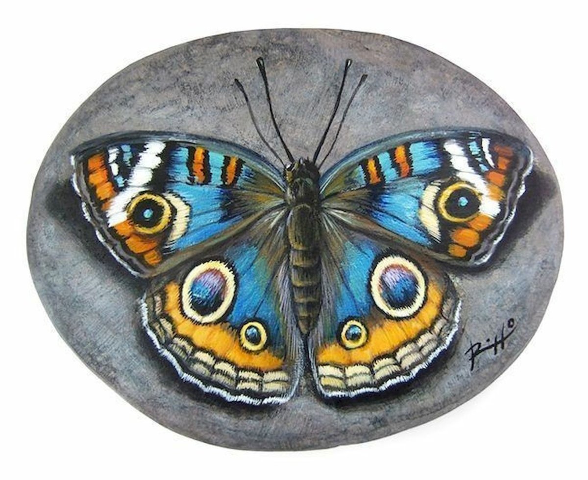 Расписные бабочки