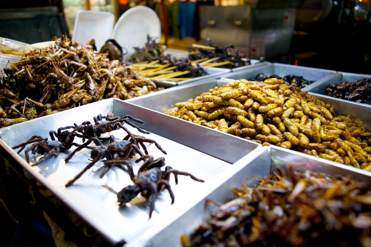 Тайская еда насекомые