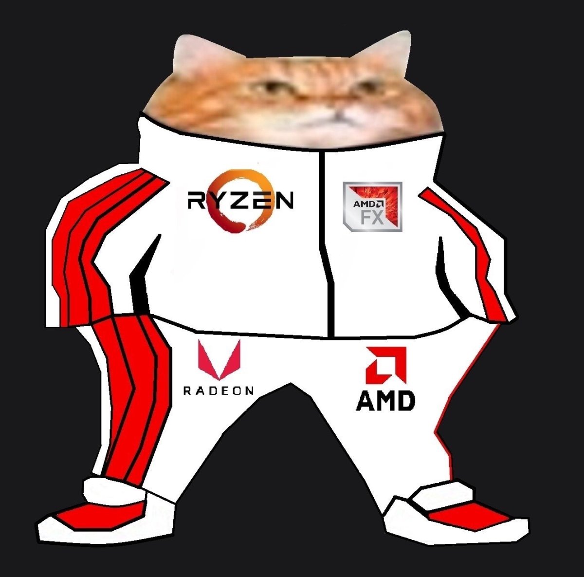 Кот в адидасе