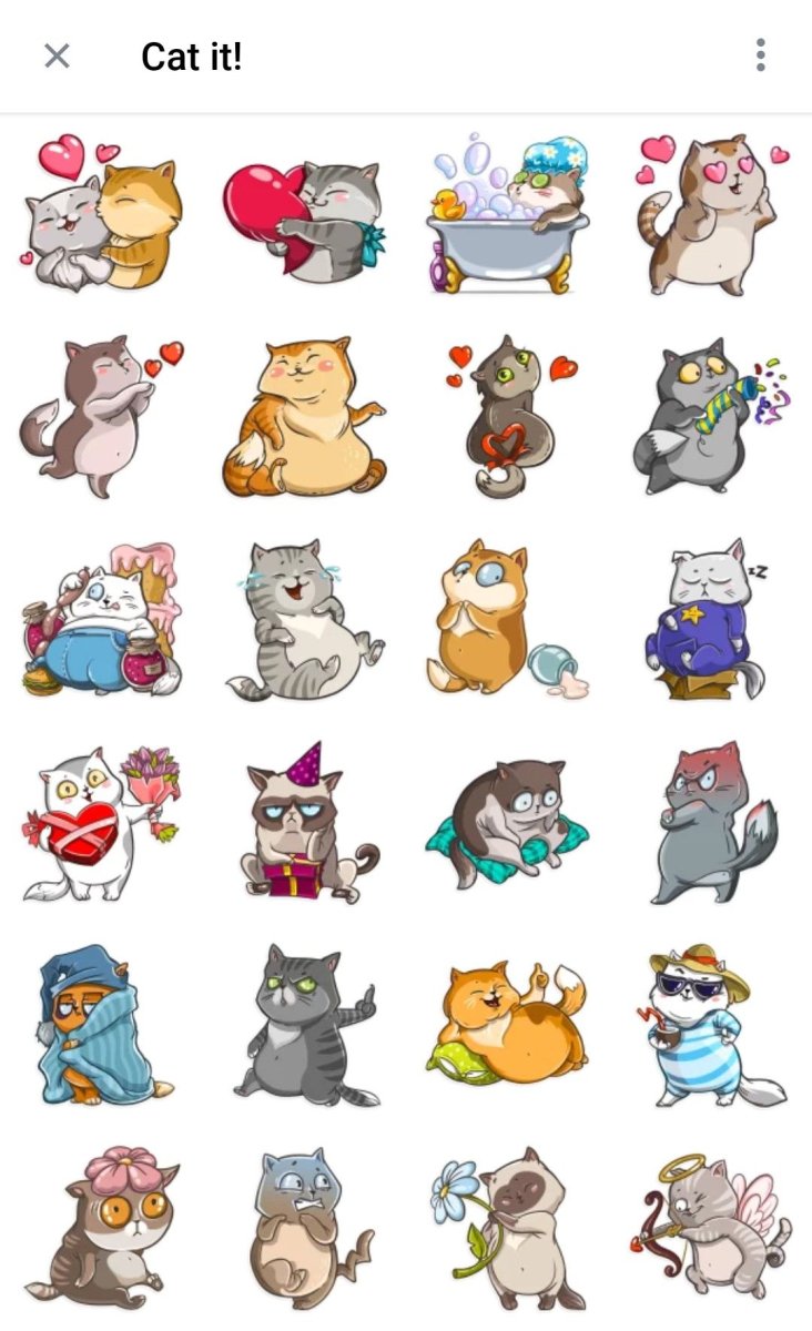 Кот Аче всмысле оригинал