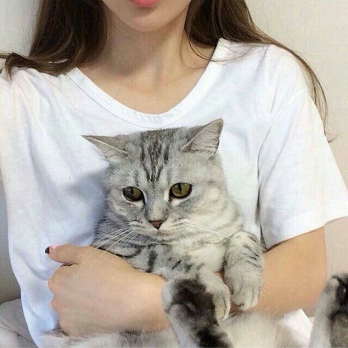 Ансталь Денис