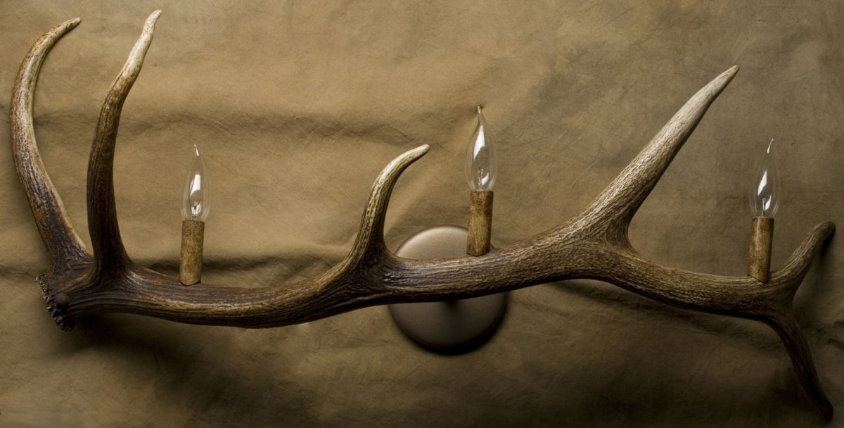 Череп оленя вид сбоку