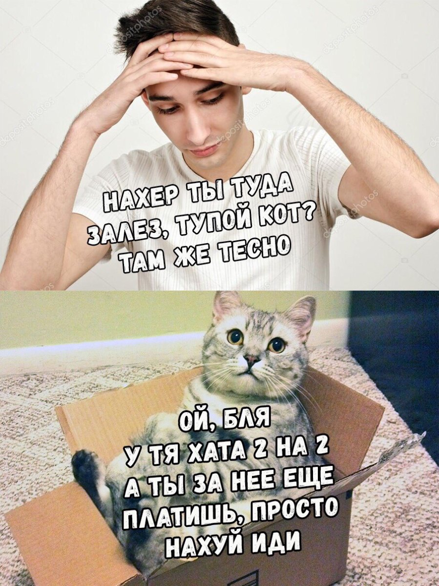 Обыкновенная тупайя