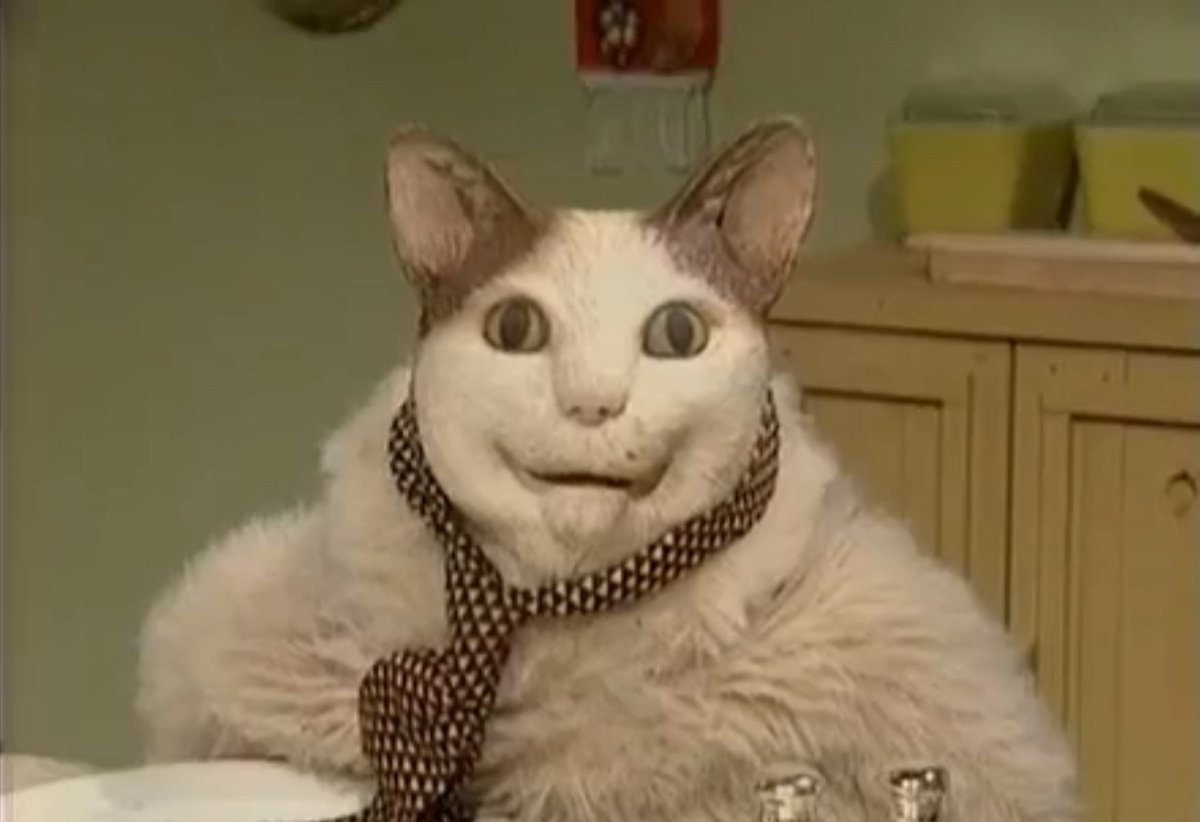 Кот в розовых очках