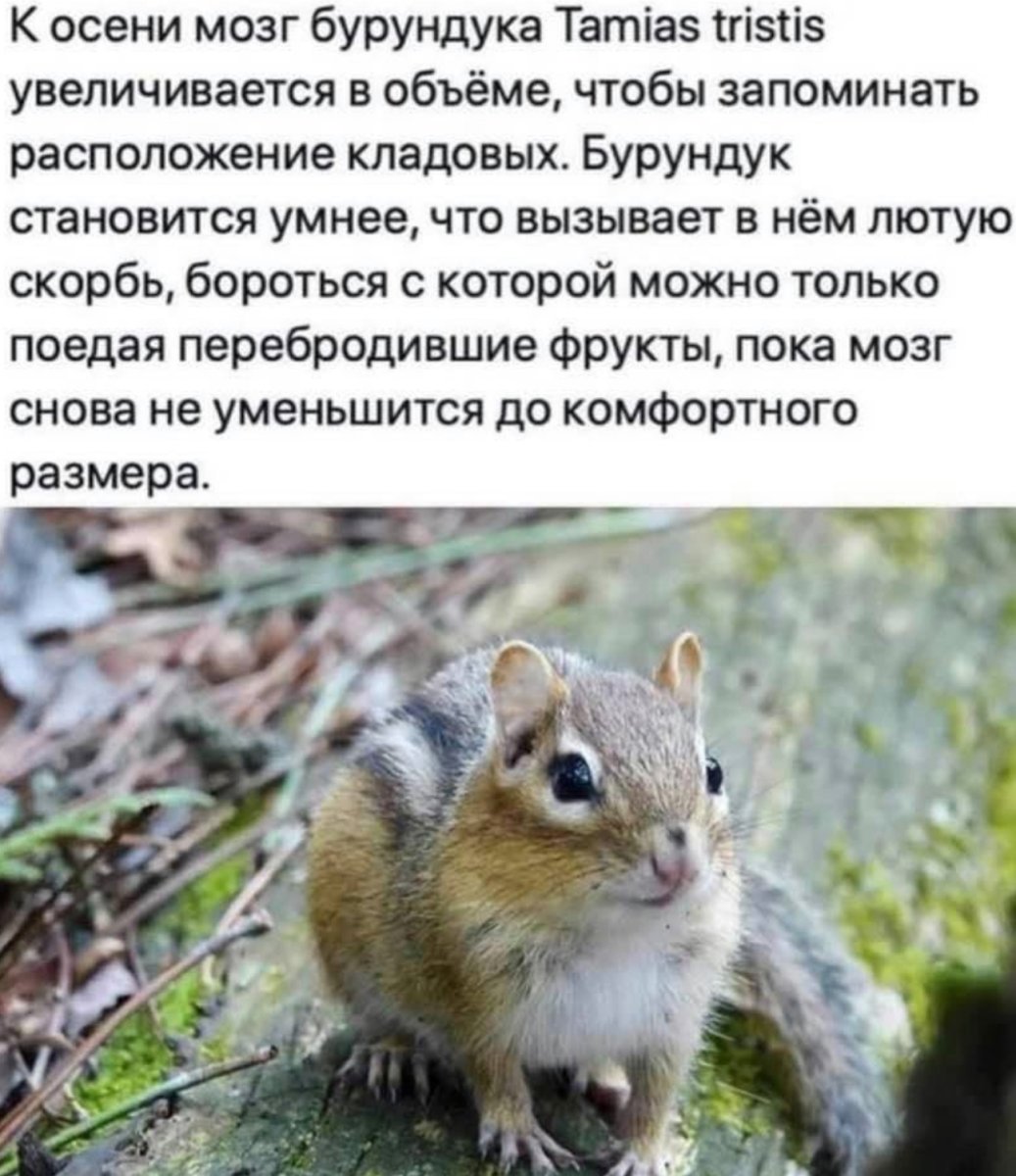 Вадим Трунов