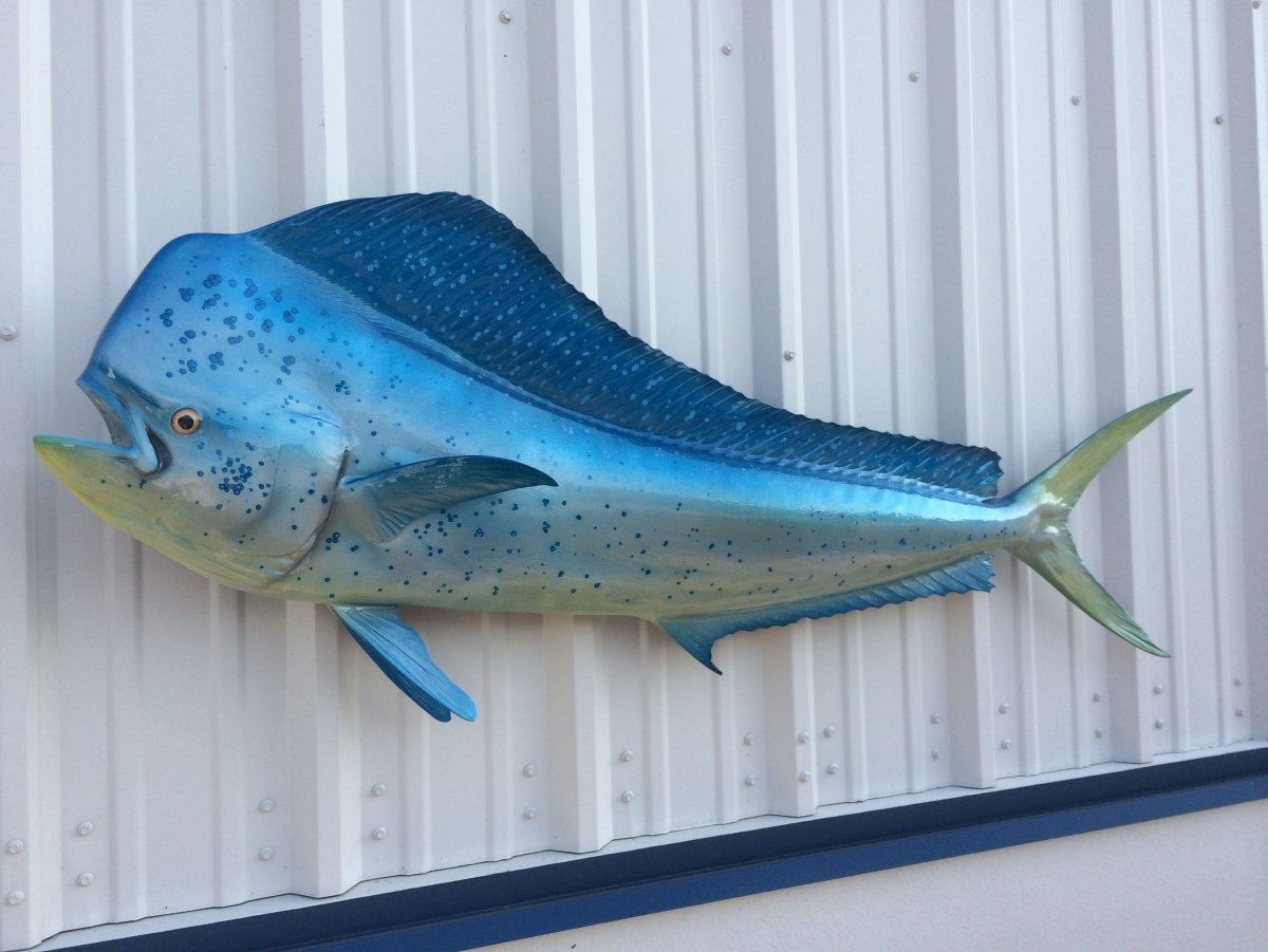 Махи махи синяя