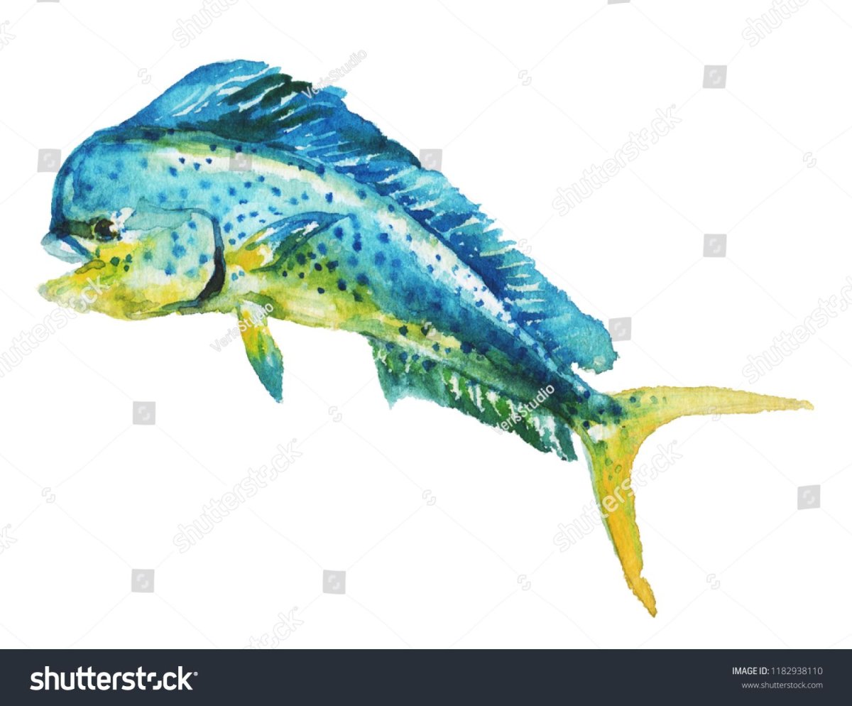 Марлин желтоперый рыба