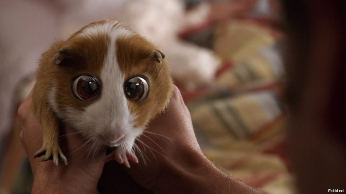 Адам Сэндлер Плаксик