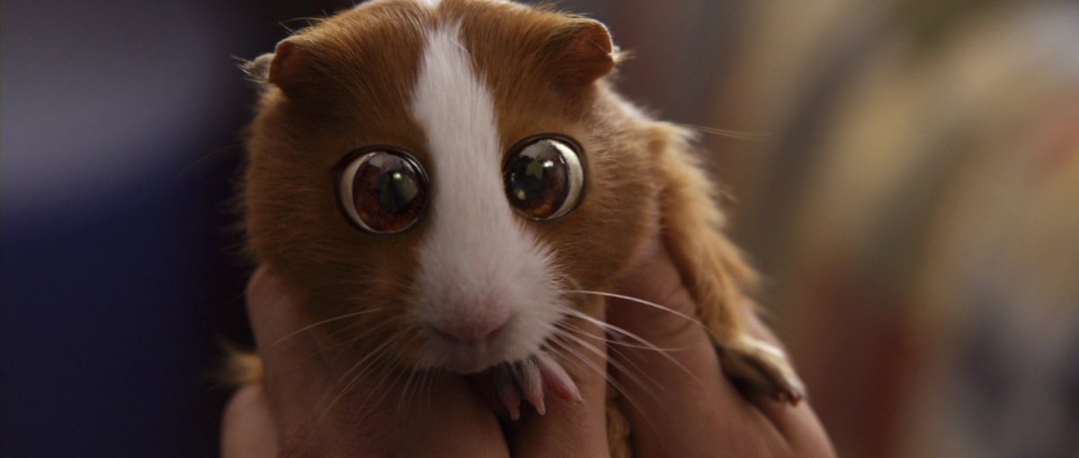 Адам Сэндлер Плаксик