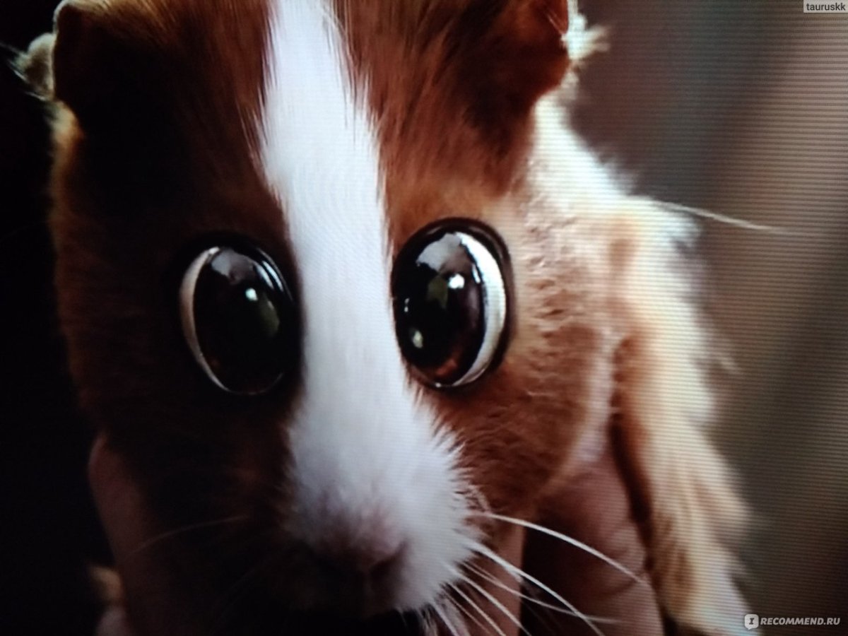 Плаксик аниме