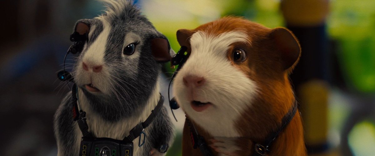 Морская Свинка Дамбо