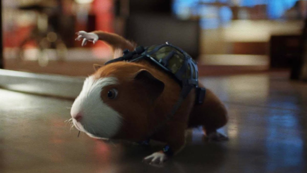 Хомяк абщхда