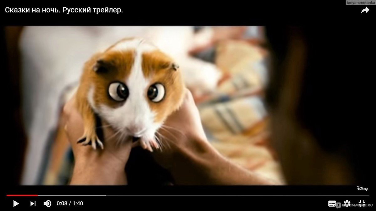 Хомяк Плаксик