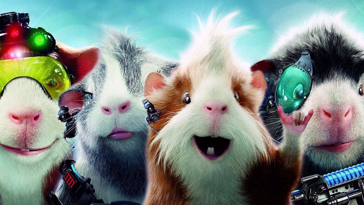 Морская Свинка на рабочий стол