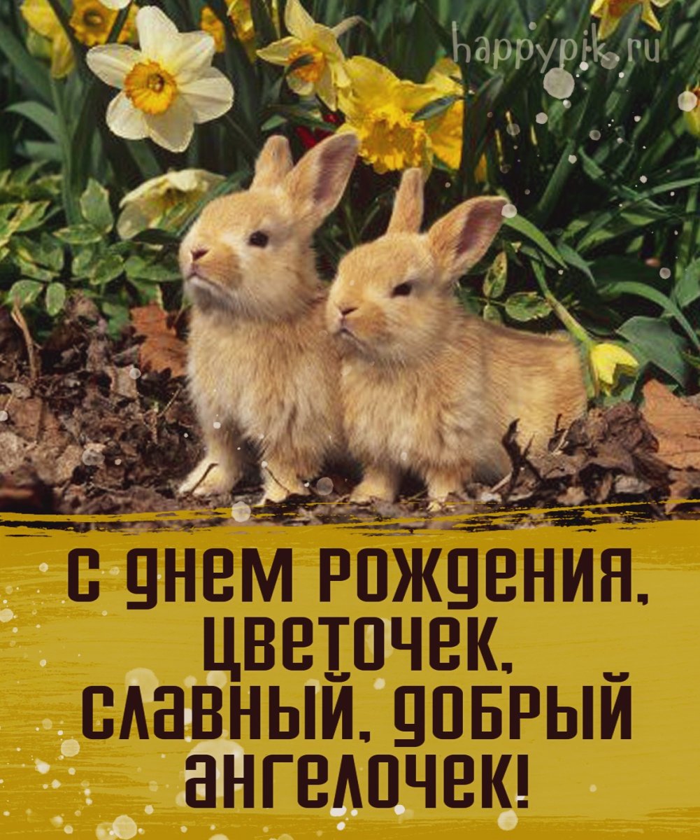 Кролики милашки