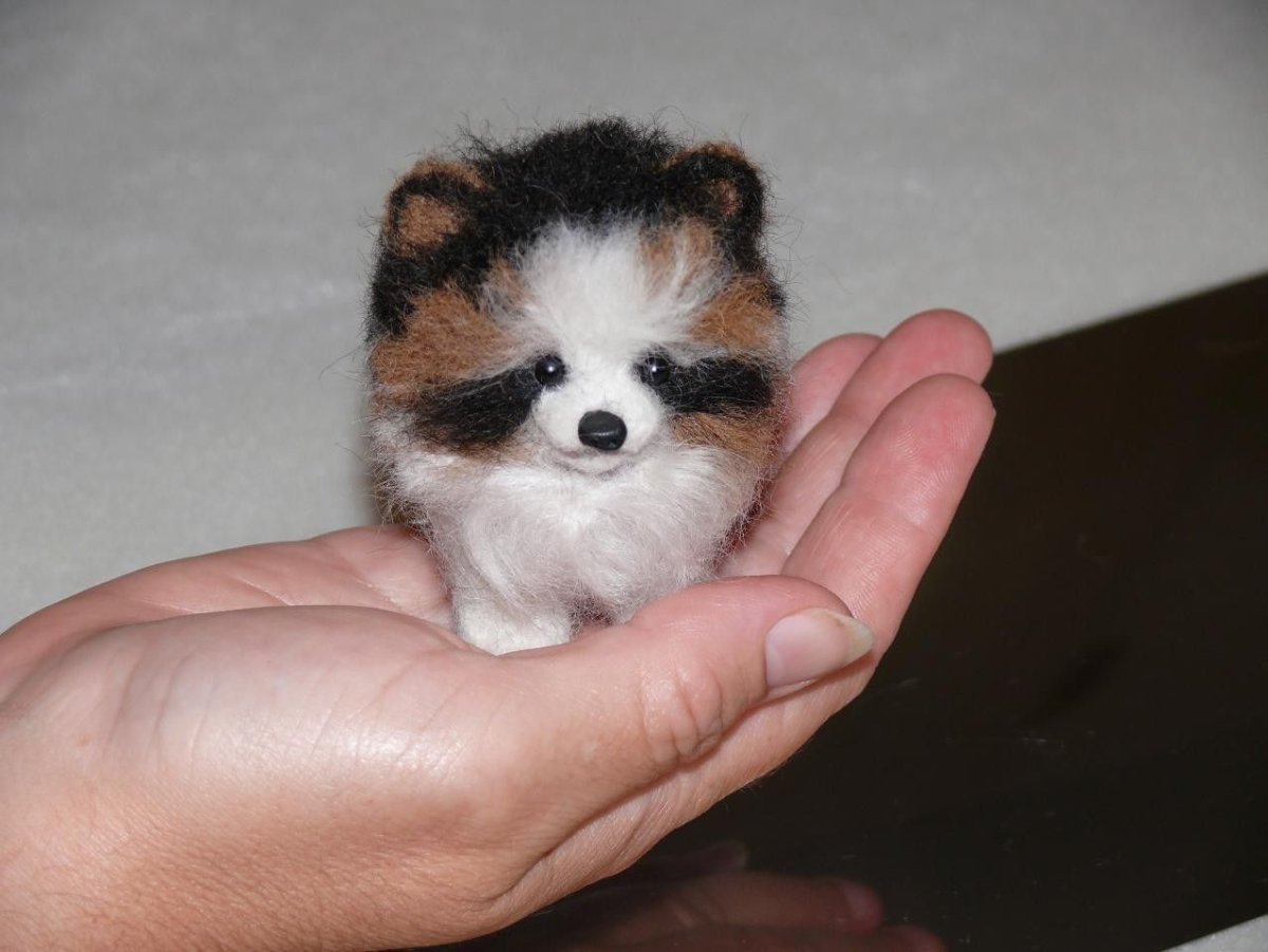 Микро собачки