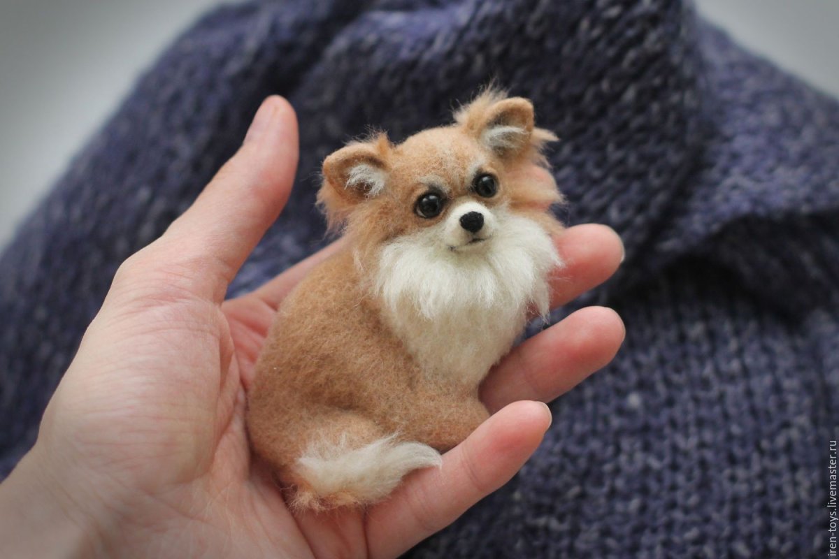 Брошь из шерсти собака