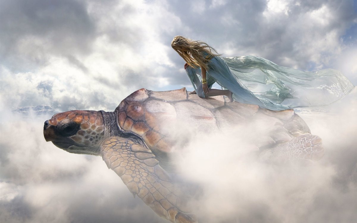 Девушка черепаха арт