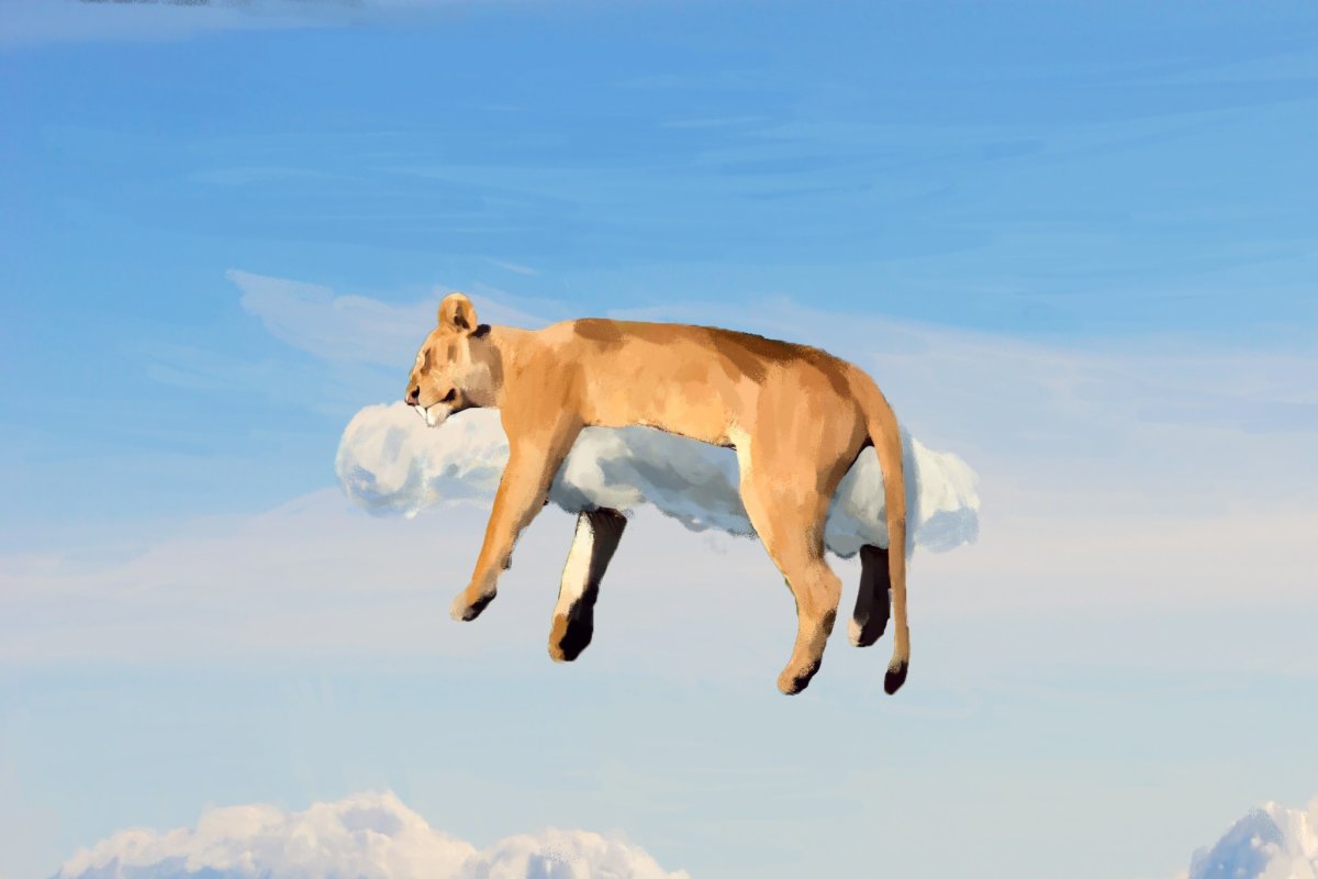 Лев на фоне солнца