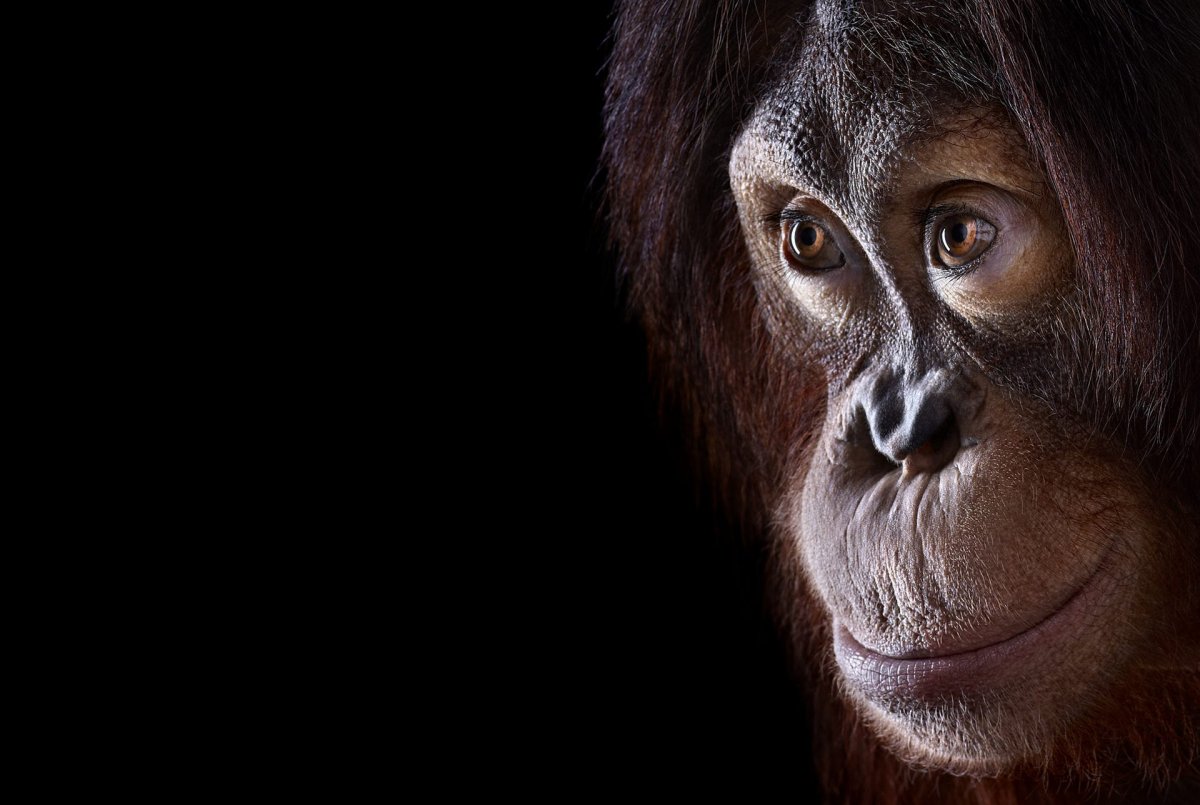 Фотограф Брэд Уилсон