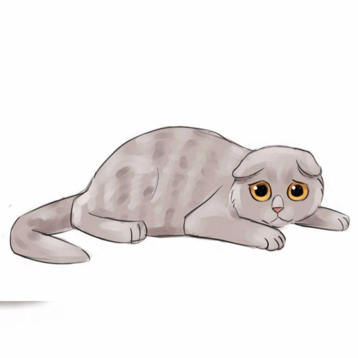 Милые котята с большими глазами