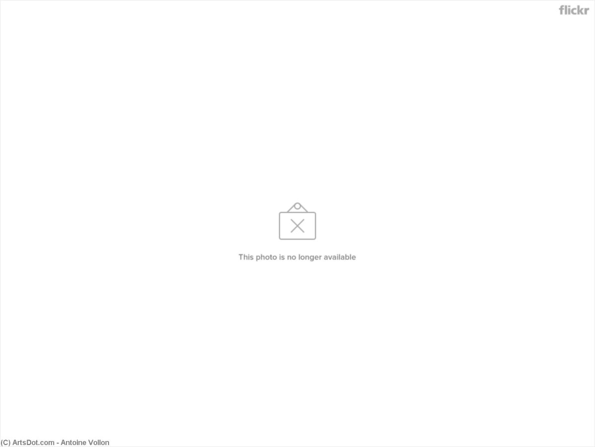 Рисунки котиков