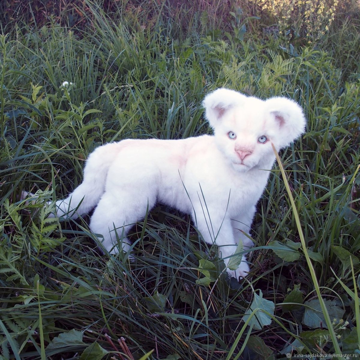Медвежонок альбинос