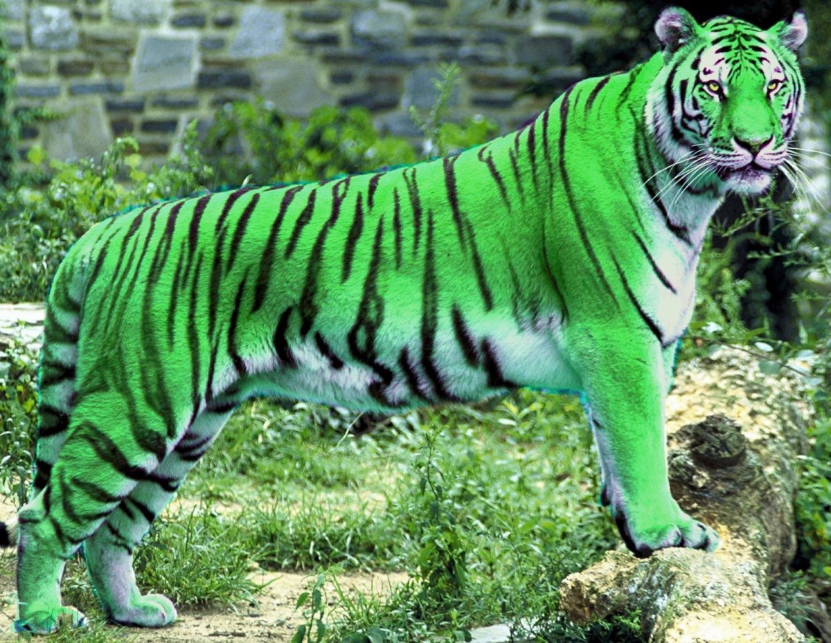 Мистические животные