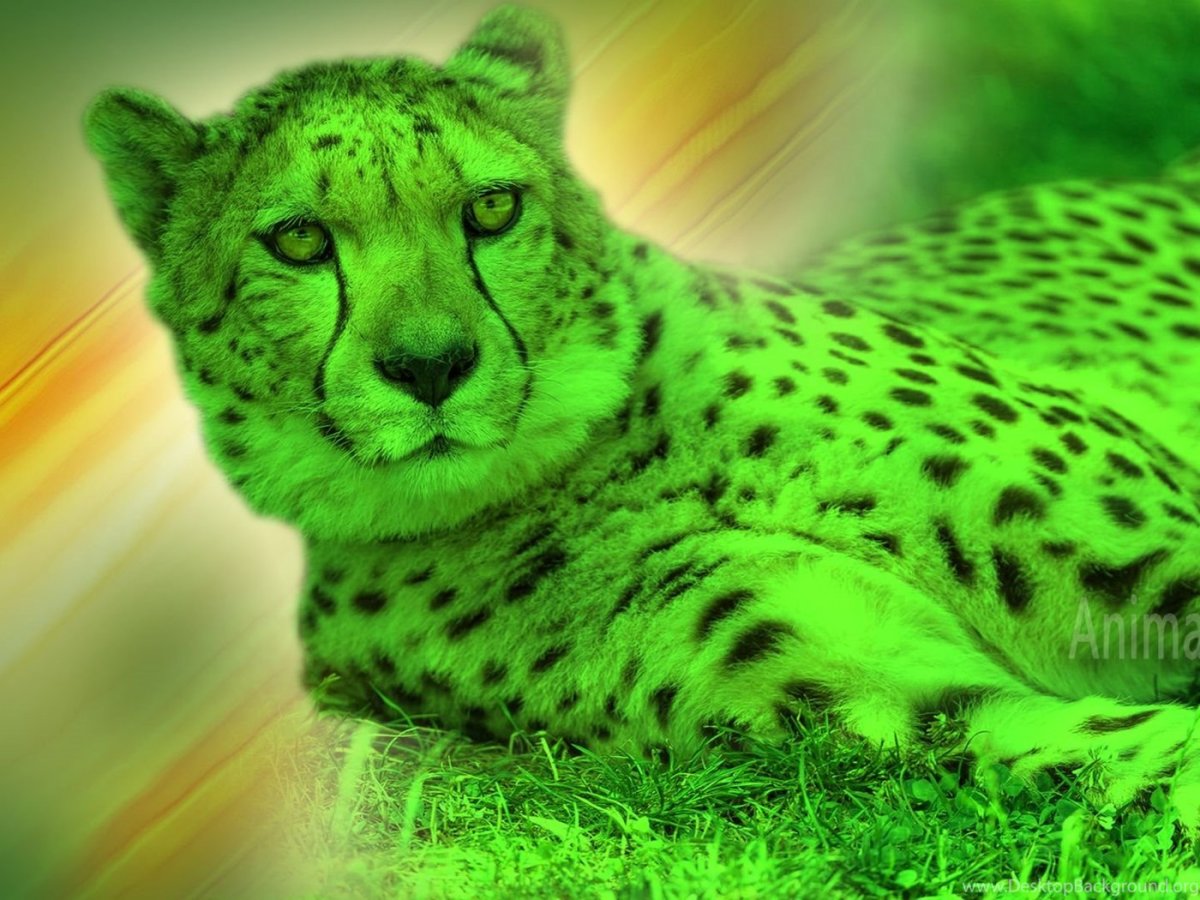 Зеленый деревянный тигр