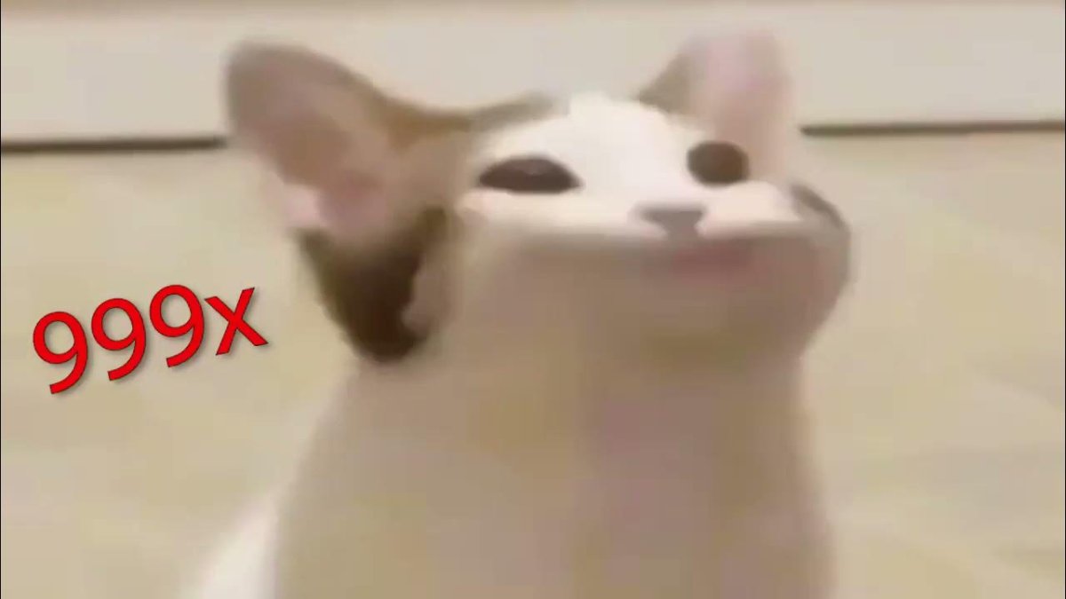 Кот зевает на белом фоне