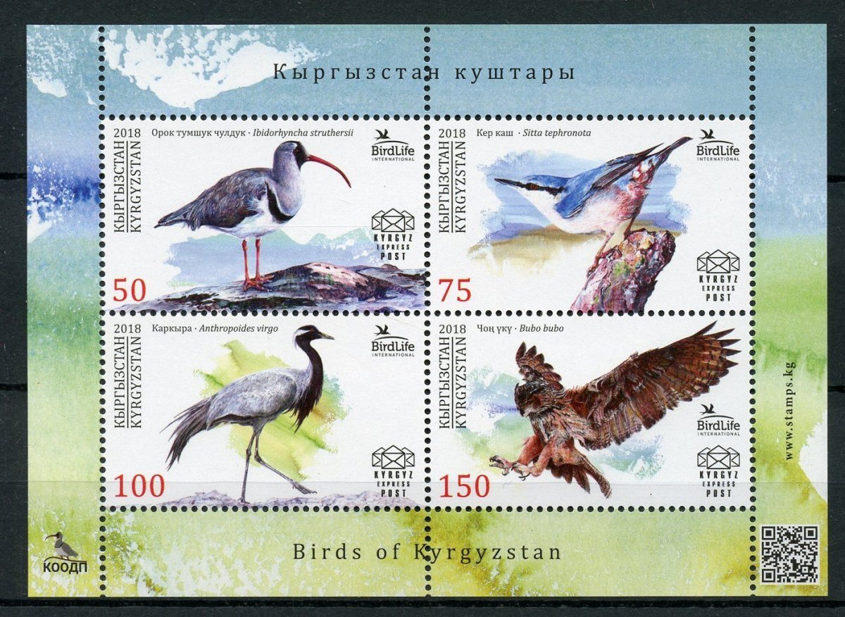Красная книга Кыргызстана птицы
