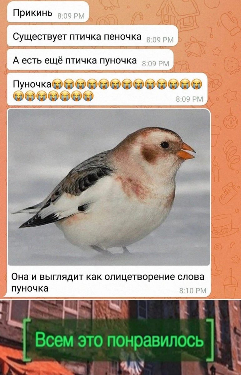 Пуночка самец и самка