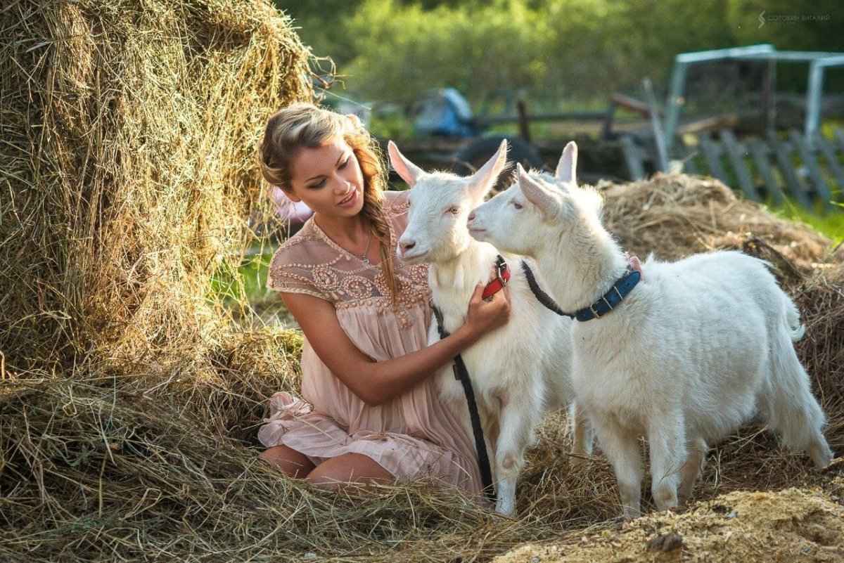Девочка с козленком