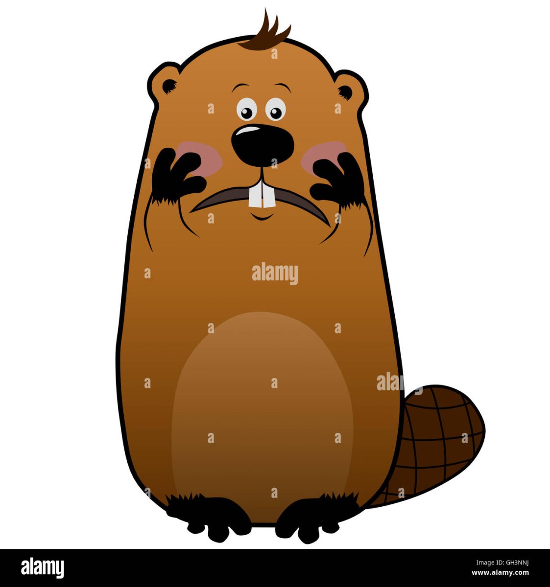 Североамериканский Бобр