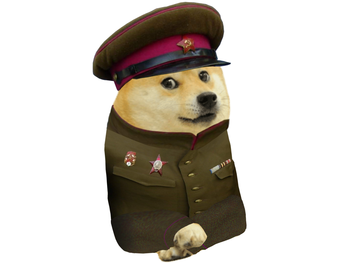 Кот в шапке