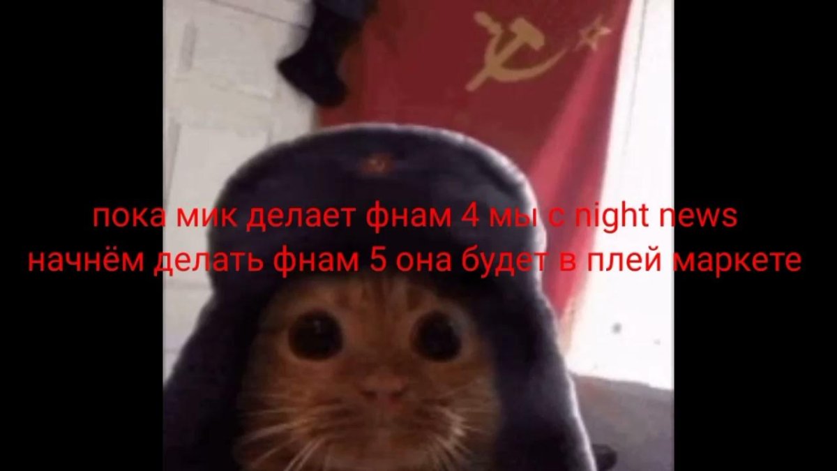 Собака в фуражке пограничника