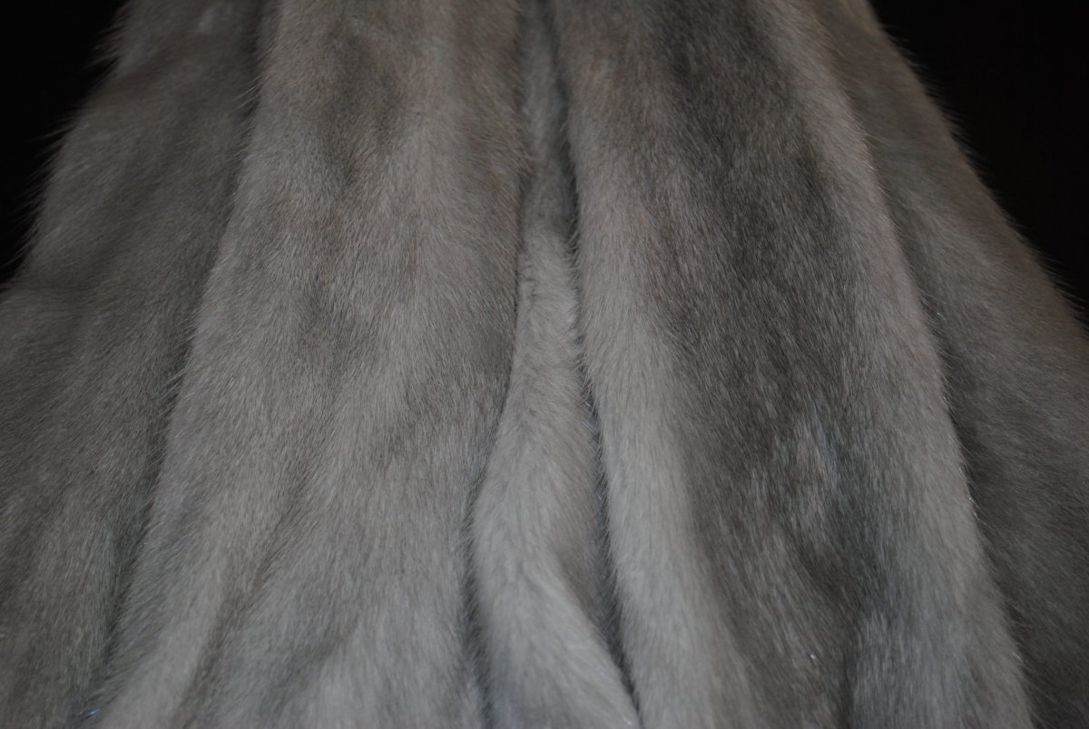 Выдра с детенышем