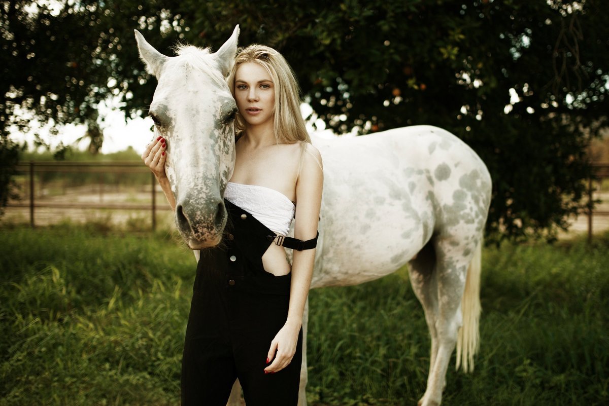 Девочка на лошади