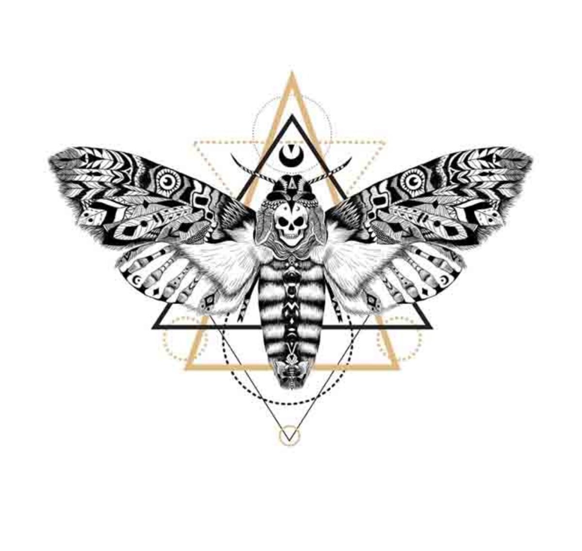 Бабочка мертвая голова арт на прозрачном фоне