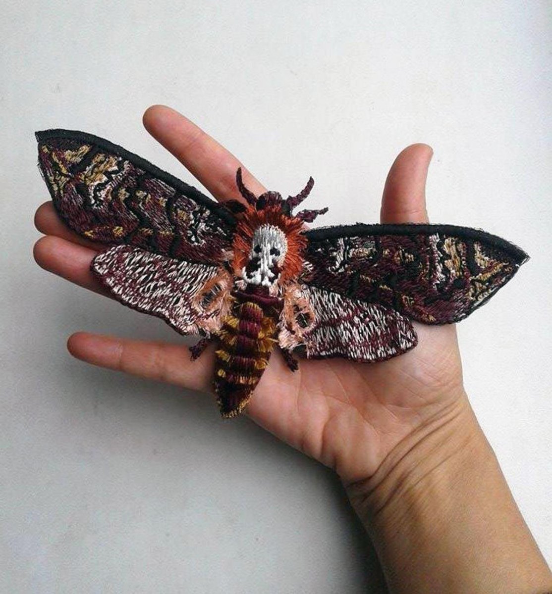 Бабочка Бражник мертвая голова