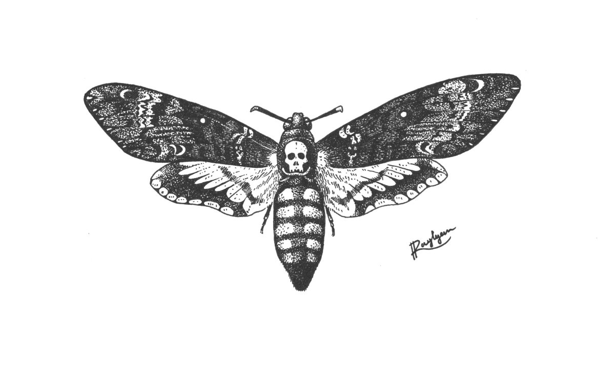 Бражник мёртвая голова тату