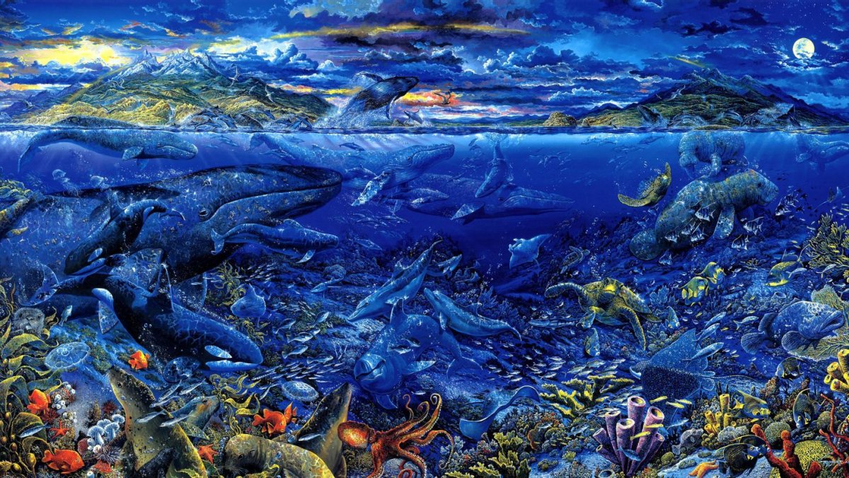 Морские глубины и их обитатели