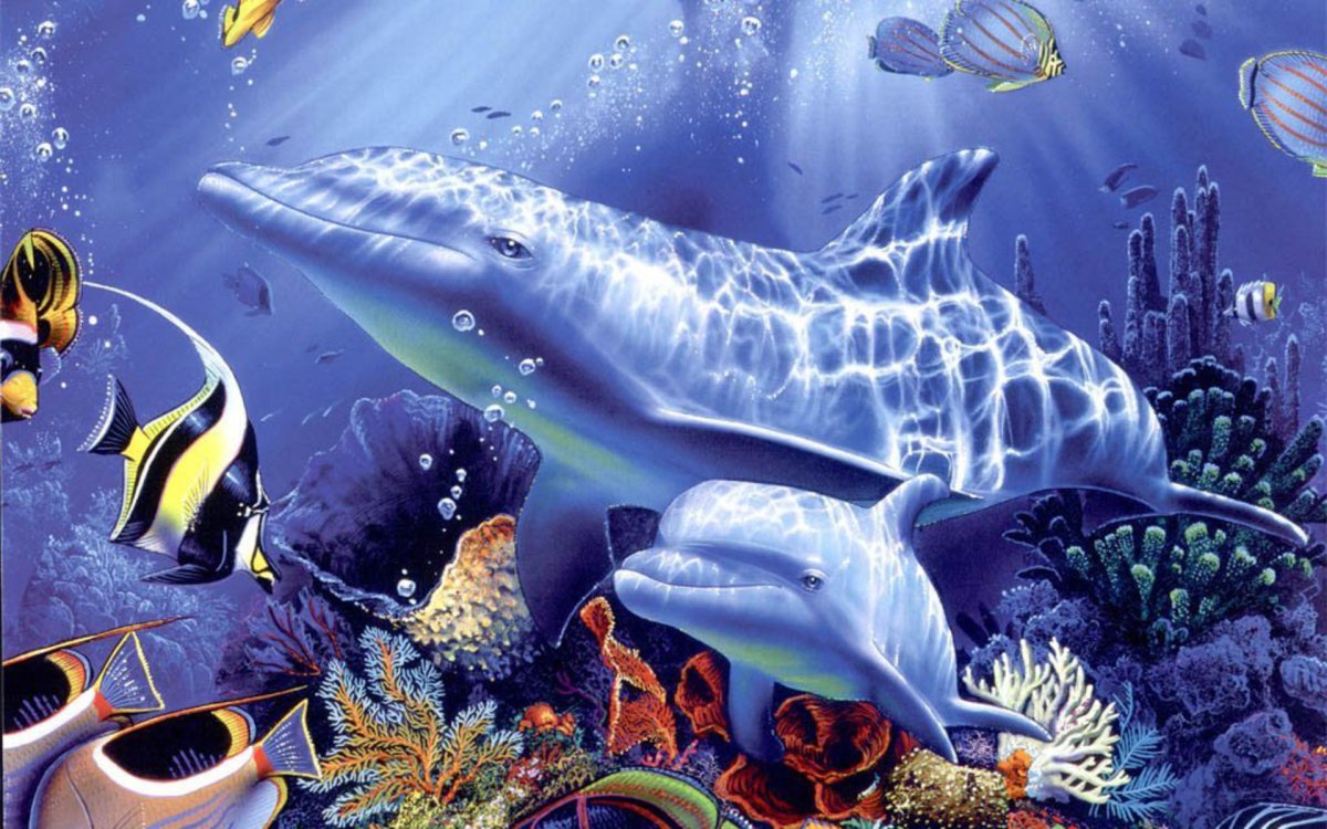 Алмазная мозаика дельфины 40х50