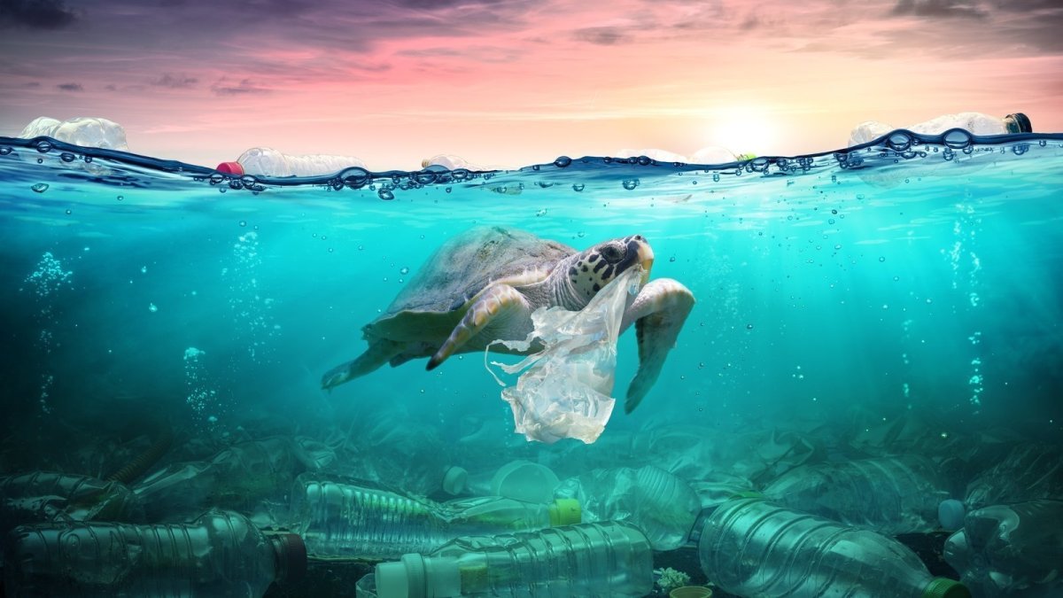 Загрязнение мирового океана